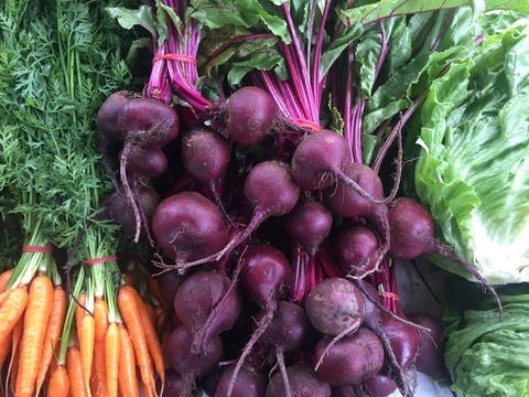 Joondalup Growers Market - New Castle Tourism 2