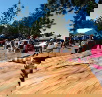 Maleny Wood Expo From Seed to Fine Furniture - Newcastle Accommodation