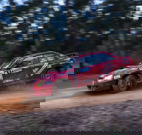 Narooma Forest Rally - Newcastle Accommodation