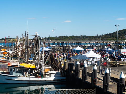 Ocean Harvest Festival - New Castle Tourism 0