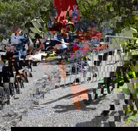 Paluma Push 2020 - Newcastle Accommodation