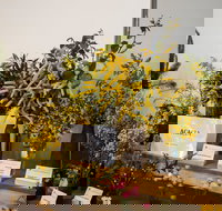 Pomonal Native Flower Show - Newcastle Accommodation