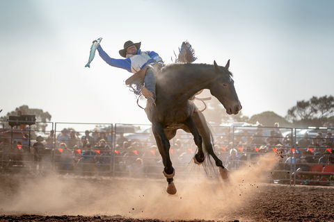 Rodeo By The Sea - Streaky Bay - Newcastle Accommodation 0