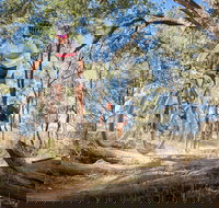 Shimano Mountain Bike Grand Prix  Logan - Newcastle Accommodation