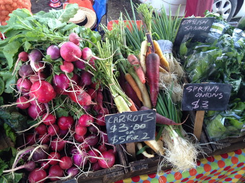 South Geelong Farmers Market - Newcastle Accommodation 0