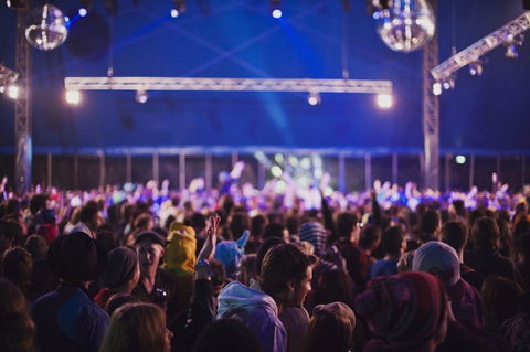 Splendour In The Grass - Newcastle Accommodation 0