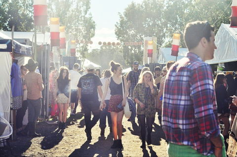 Splendour In The Grass - Newcastle Accommodation 1