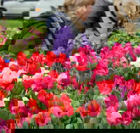 Spring Fling - New Castle Tourism