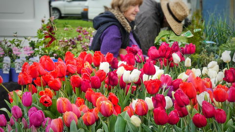 Spring Fling - New Castle Tourism 0
