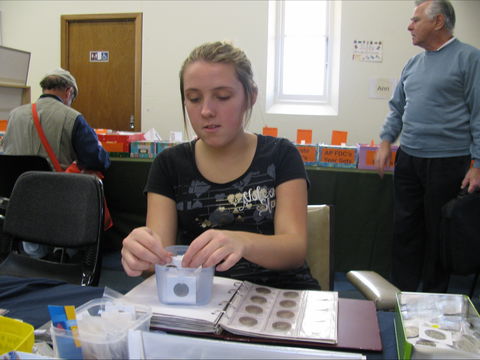 Stamp, Coin And Collectables Fair: September - Newcastle Accommodation 1