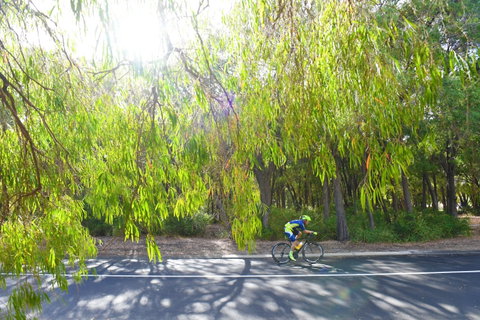 SunSmart FunMan Triathlon - Newcastle Accommodation 0
