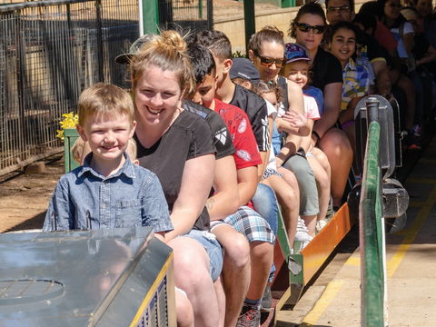 Willans Hill Miniature Railway Rides: Open Days - Newcastle Accommodation 0