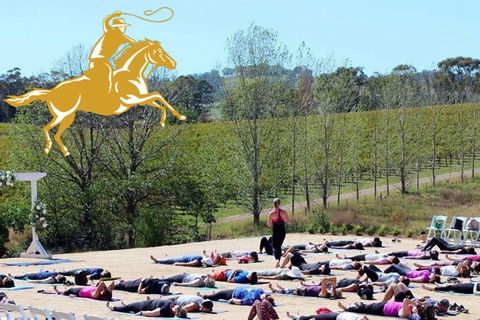 Yoga In The Vines - Newcastle Accommodation 0