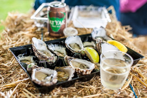 Narooma Oyster Festival - Newcastle Accommodation 1