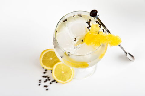 Online Live Streaming Class: Make Four Gin Cocktails - Newcastle Accommodation 0