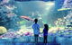 Sydney's Aquarium - thumb 1