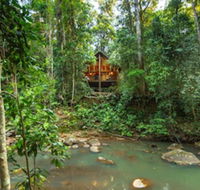 The Canopy Rainforest Treehouses and Wildlife Sanctuary - Newcastle Accommodation