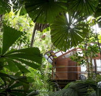 Daintree Wilderness Lodge - Newcastle Accommodation
