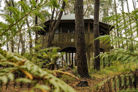Federation Gardens & Possums Hideaway - New Castle Tourism 3