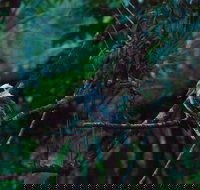 Broken River Mountain Resort - New Castle Tourism