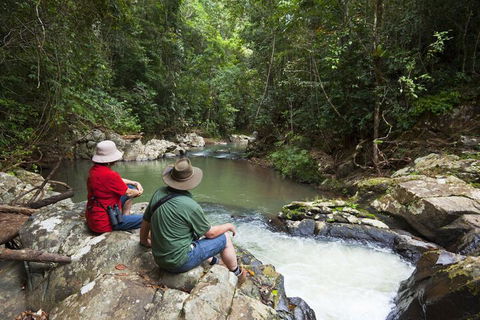 Rose Gums Wilderness Retreat - Newcastle Accommodation 1