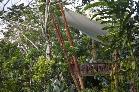 Rose Gums Wilderness Retreat - Newcastle Accommodation 2