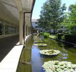 ANU University House Hotel - Newcastle Accommodation