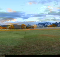 Radiance on Lyra - New Castle Tourism