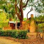 Deans Marsh VIC New Castle Tourism