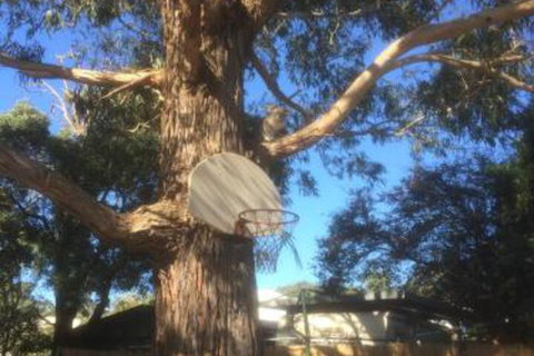 Inverloch Motel - Newcastle Accommodation 5