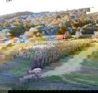 Twisted Gum Cottage - New Castle Tourism