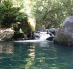 Daintree Secrets Rainforest Sanctuary - Newcastle Accommodation