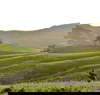 Ketchup's Bank Glamping - Newcastle Accommodation