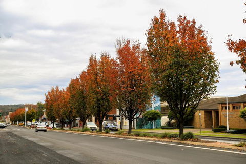 Getaway Tourist Park - New Castle Tourism 6
