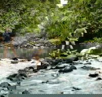 Sharlynn by the River - Newcastle Accommodation