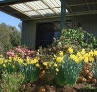 Nannup Riverview Cottage - Newcastle Accommodation