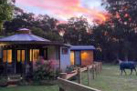 Ionaforest Yurt & Shepherds Hut - New Castle Tourism 0