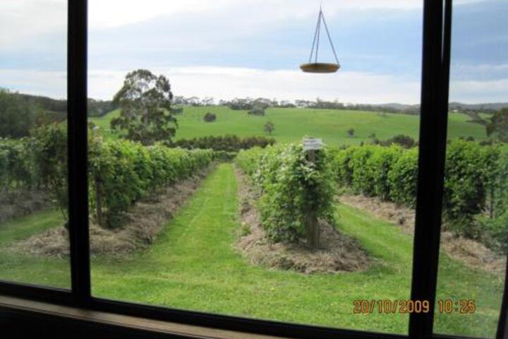 Barwon Downs ACT New Castle Tourism