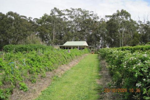 Pennyroyal Raspberry Farm & Cidery - New Castle Tourism 6