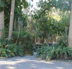 Avoca Park - New Castle Tourism