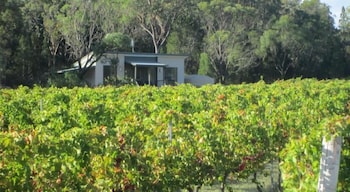 Just Red Wines Vineyard Cabins - New Castle Tourism 3