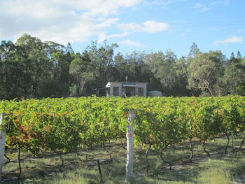 Just Red Wines Vineyard Cabins - New Castle Tourism 5