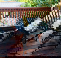 The Little Jungle Studio - New Castle Tourism