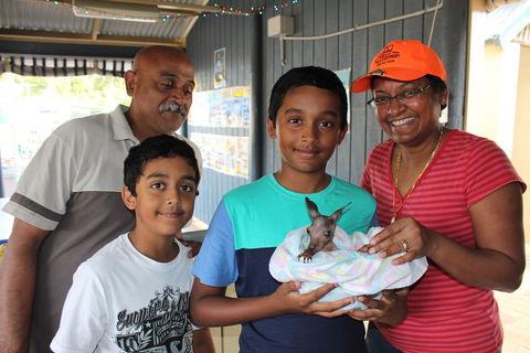 Holiday Haven Burrill Lake - Newcastle Accommodation 0