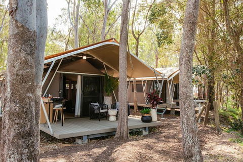 Big4 Sandstone Point Holiday Resort - New Castle Tourism 7