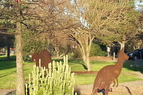 Eagles Nest - Newcastle Accommodation 6