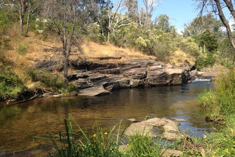 Eagles Nest - Newcastle Accommodation 3