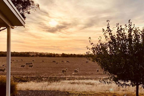 Marys Farm Cottages - Newcastle Accommodation 3