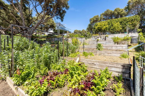 Top Of Rye - Newcastle Accommodation 5