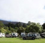 Warburton Holiday Park - New Castle Tourism